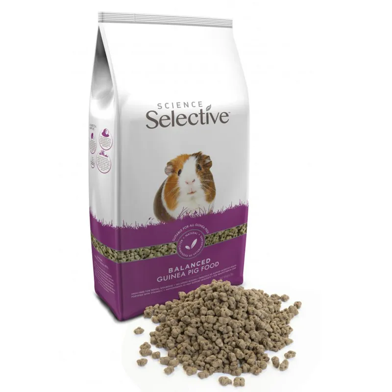 Science Selective Guinea Pig-1