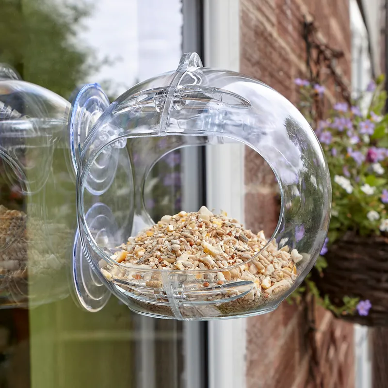 Peckish Globe Window Feeder