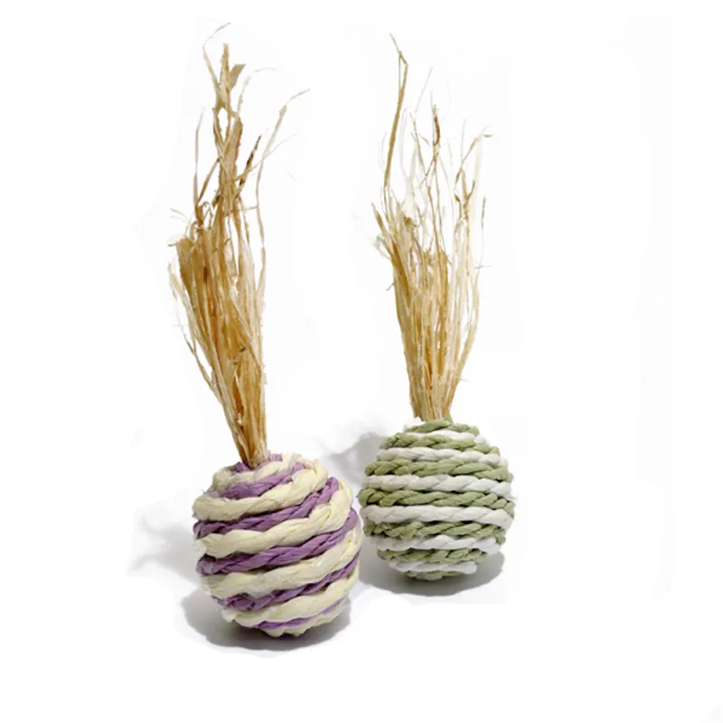 Rosewood Boredom Breaker Wacky Rollers 2 pack