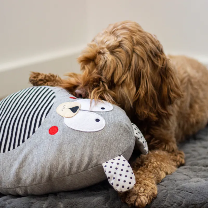 Rosewood Giggling Stripey Bear-1