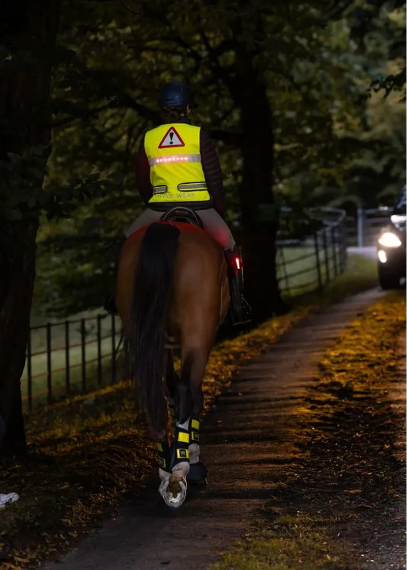 Woof Wear LED Hi Vis Riding Vest Yellow-5