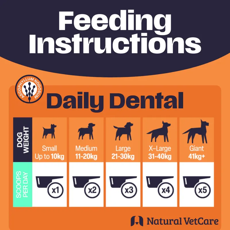 Natural VetCare Daily Dental Powder 200g-2