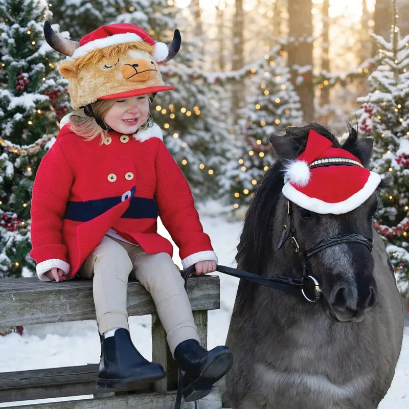Equetech Novelty Hat Silk - Holly Highland-1