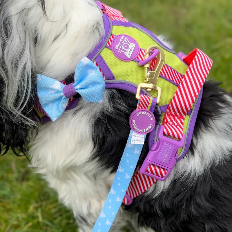 Disney Buzz Bow Tie-1