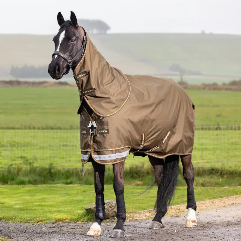 LeMieux Arika 600D Ripstop 50g Turnout Rug Alpine