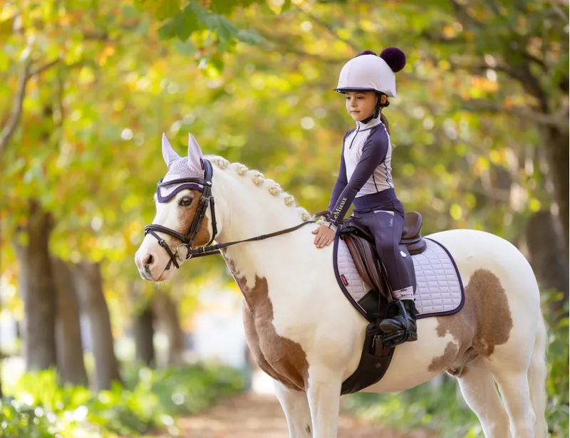 LeMieux Mini Suede Close Contact Square Lilac-1