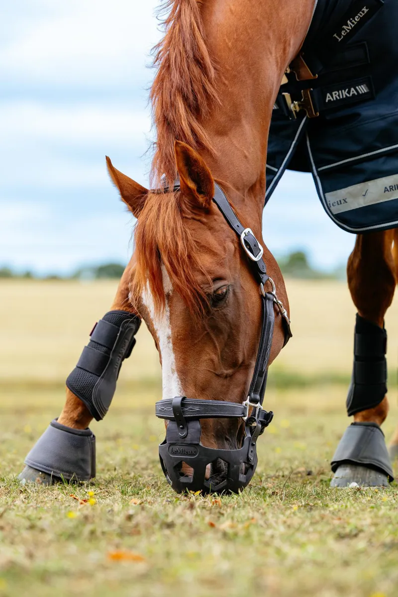 LeMieux Noma Grazing Muzzle Black-1