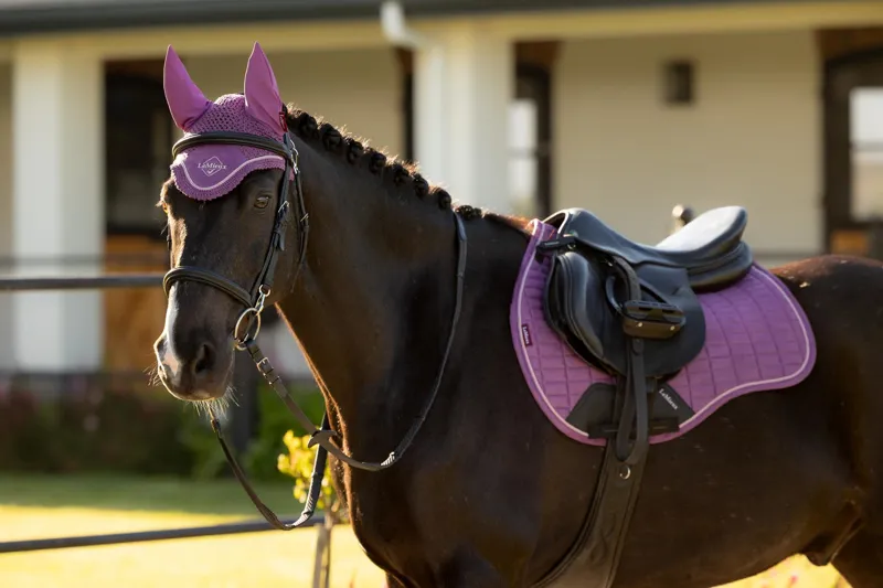 LeMieux Classic Fly Hood Mallow-1
