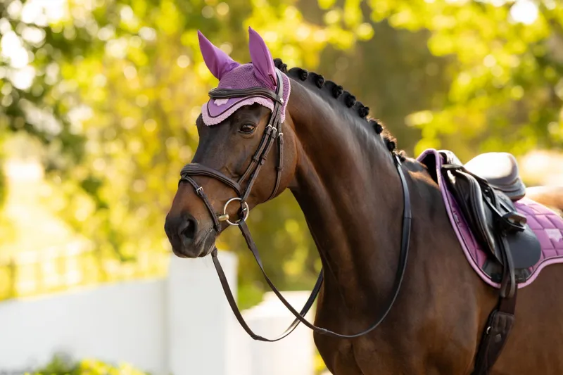 LeMieux Loire Fly Hood Mallow-1