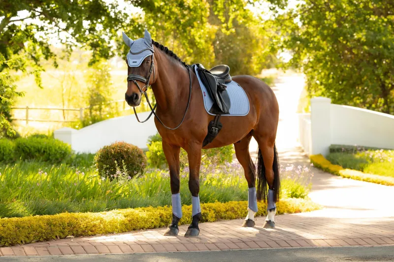 LeMieux Essence Dressage Square Powder Blue-1
