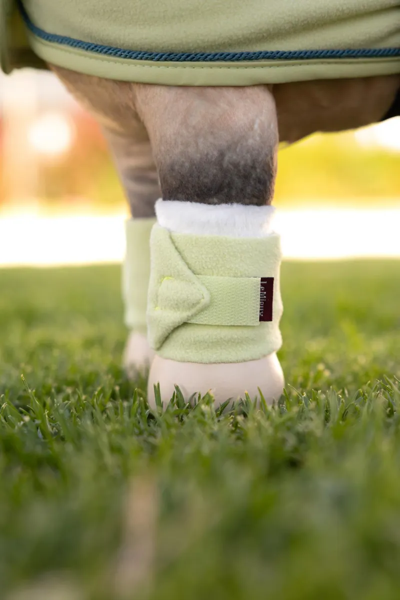 LeMieux Toy Pony Bandages Macaron-1