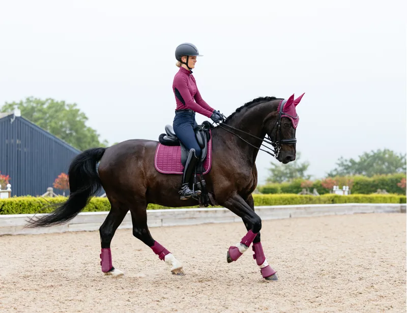 LeMieux Suede Dressage Square Blackberry-1