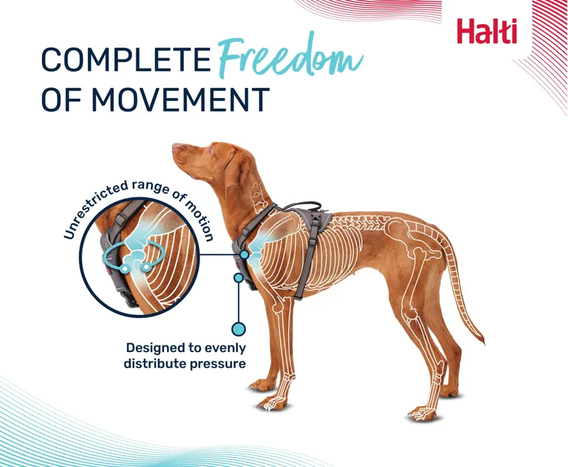 Halti Anatomy Harness Grey-1
