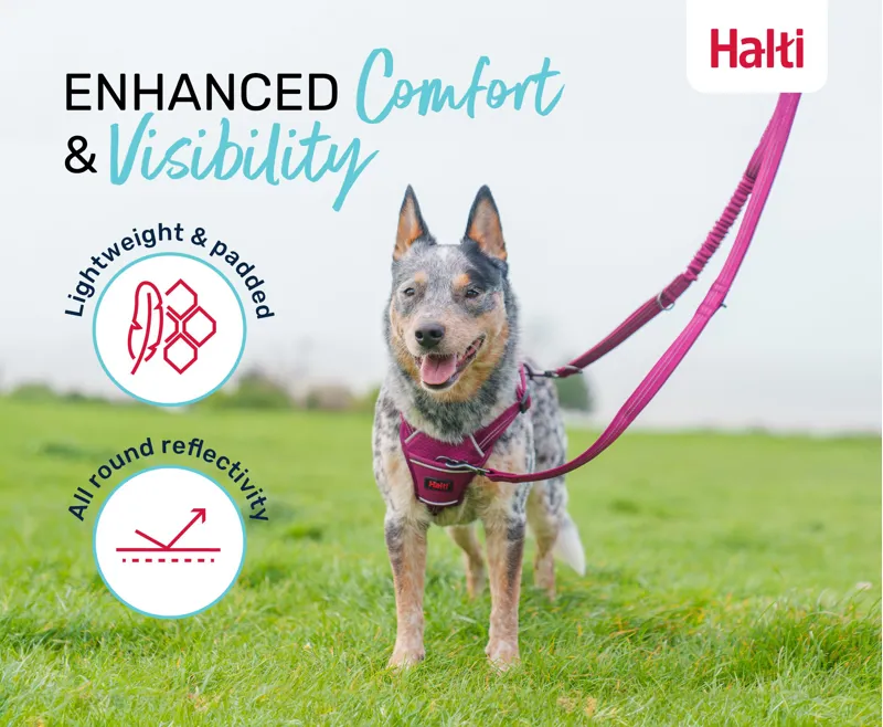 Halti Anatomy Lead Green-2