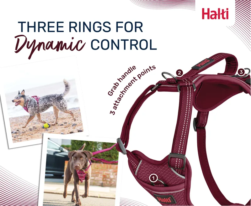 Halti Anatomy Harness Green-2