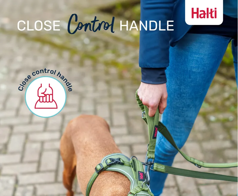 Halti Anatomy Lead Pink-3