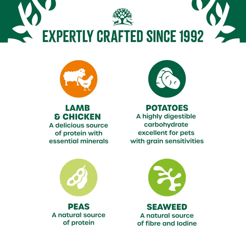 James Wellbeloved Senior Lamb and Chicken in Gravy Pouch 12 x 90g-4