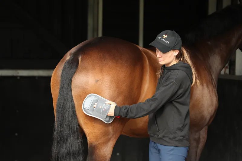 Equilibrium Products Massage Mitt Hotspot-1