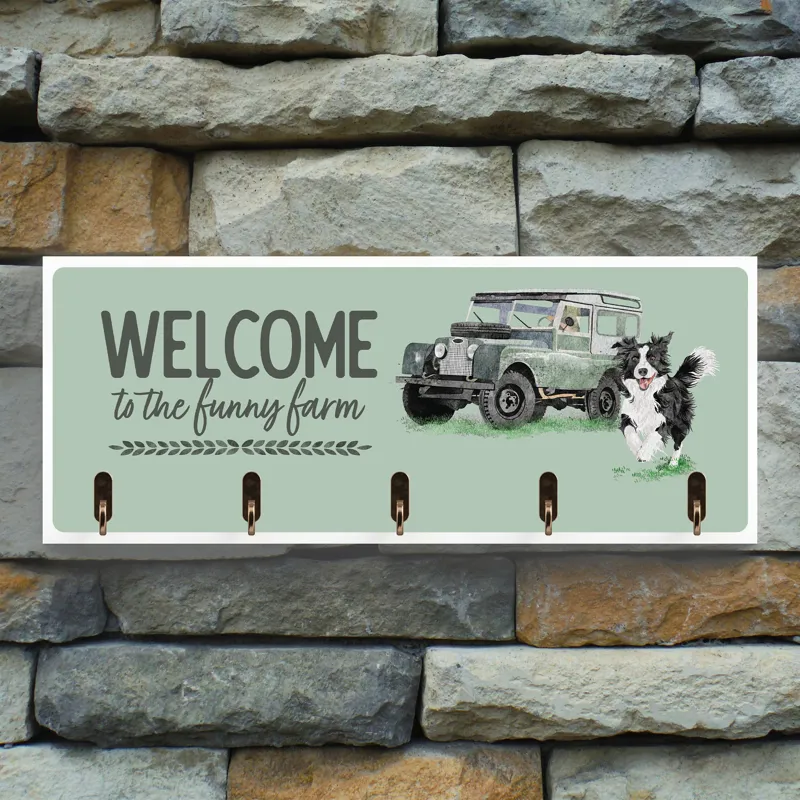 Medium Key Panel - Welcome To The Funny Farm