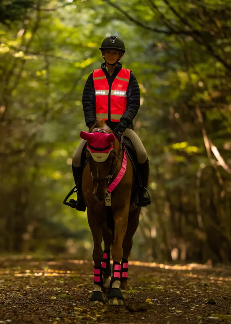 Woof Wear LED Hi Vis Riding Vest Pink-4