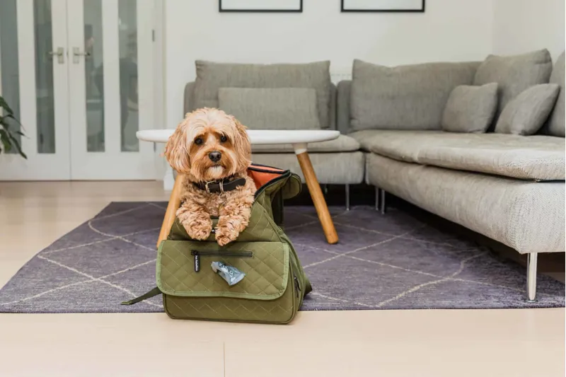 Pet Rebellion Pet Travel Bag Green-4