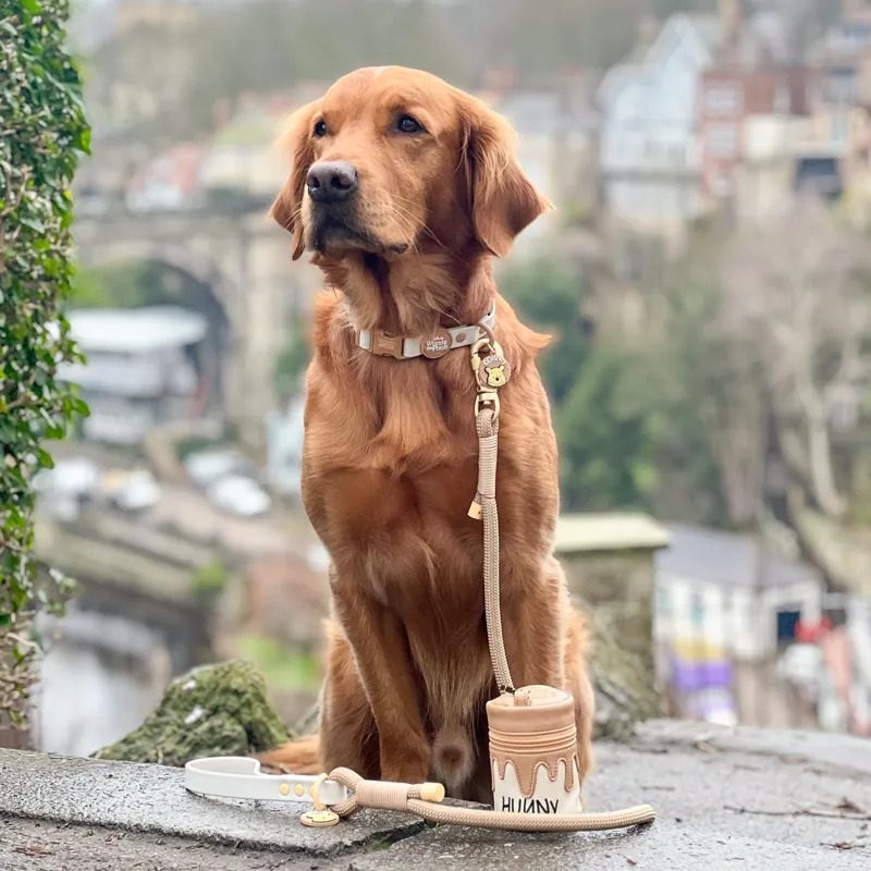 Disney Hunny Pot Treat Pouch-4