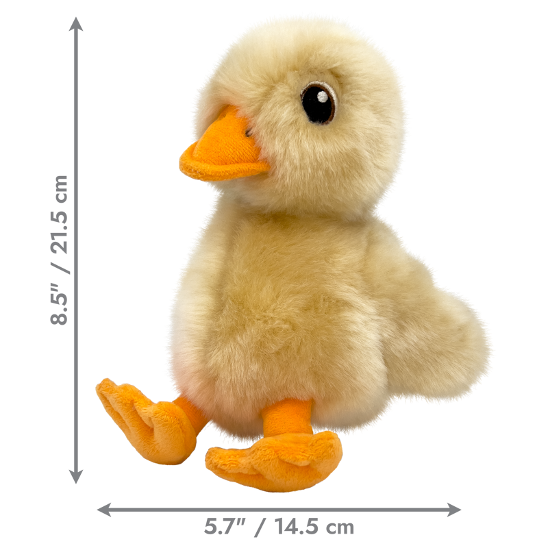 KONG Toughz Duck Medium-1