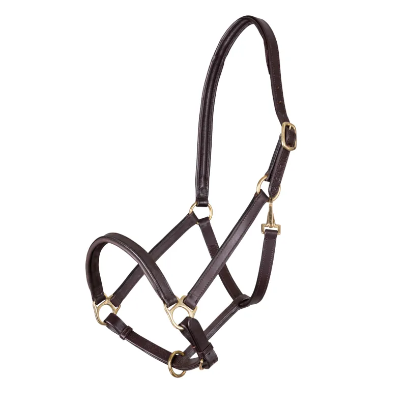 Velociti Gara Ragley Lined Leather Headcollar Black