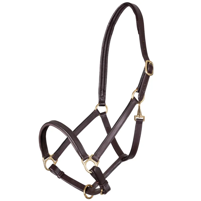 Velociti Gara Ragley Lined Leather Headcollar Havana