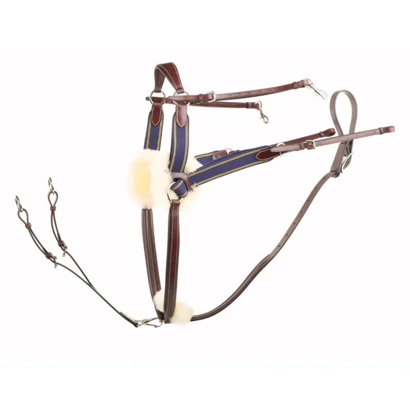 E Jeffries Wembley Pro Competition Breastplate Havana Cob/Full