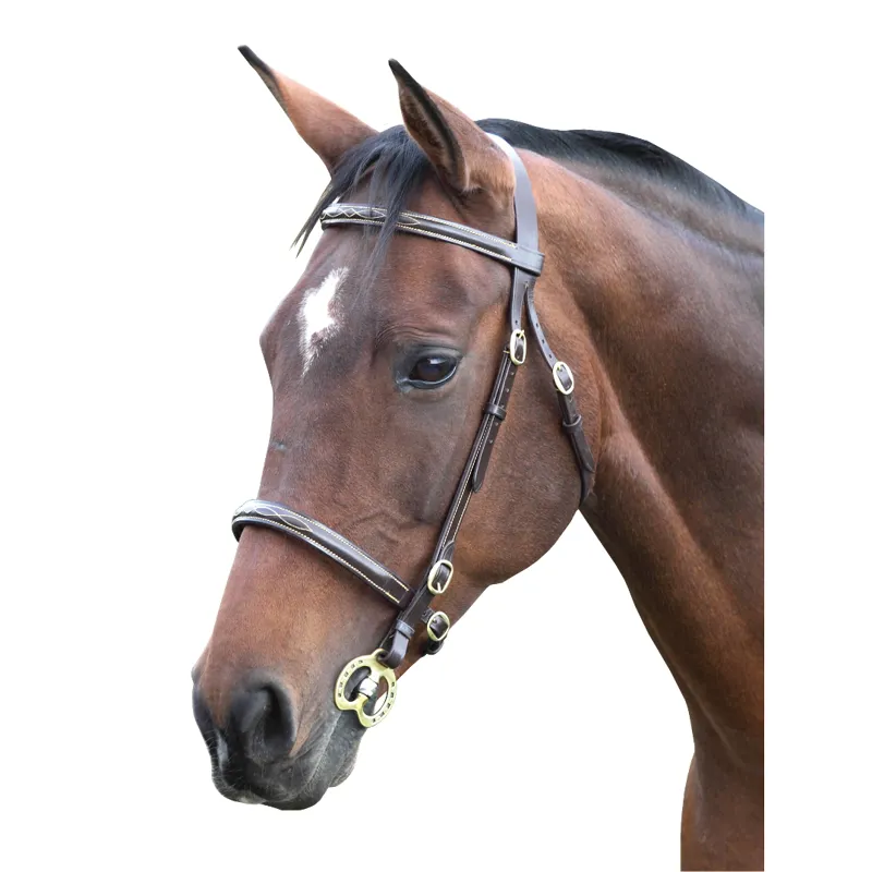 Shires Blenheim Fancy Stitched In Hand Bridle Havana