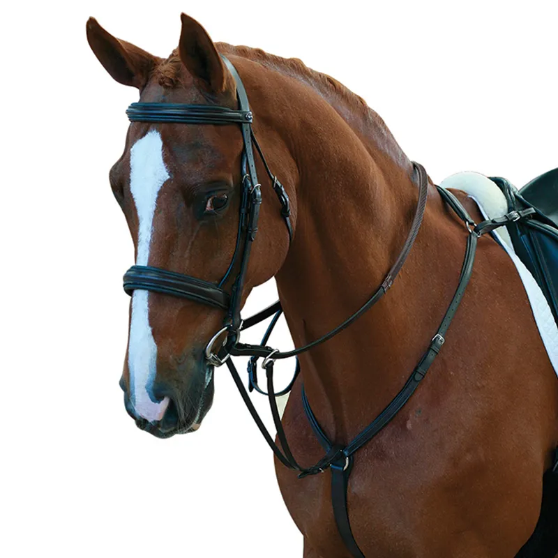 Collegiate Hunter Breastplate Black
