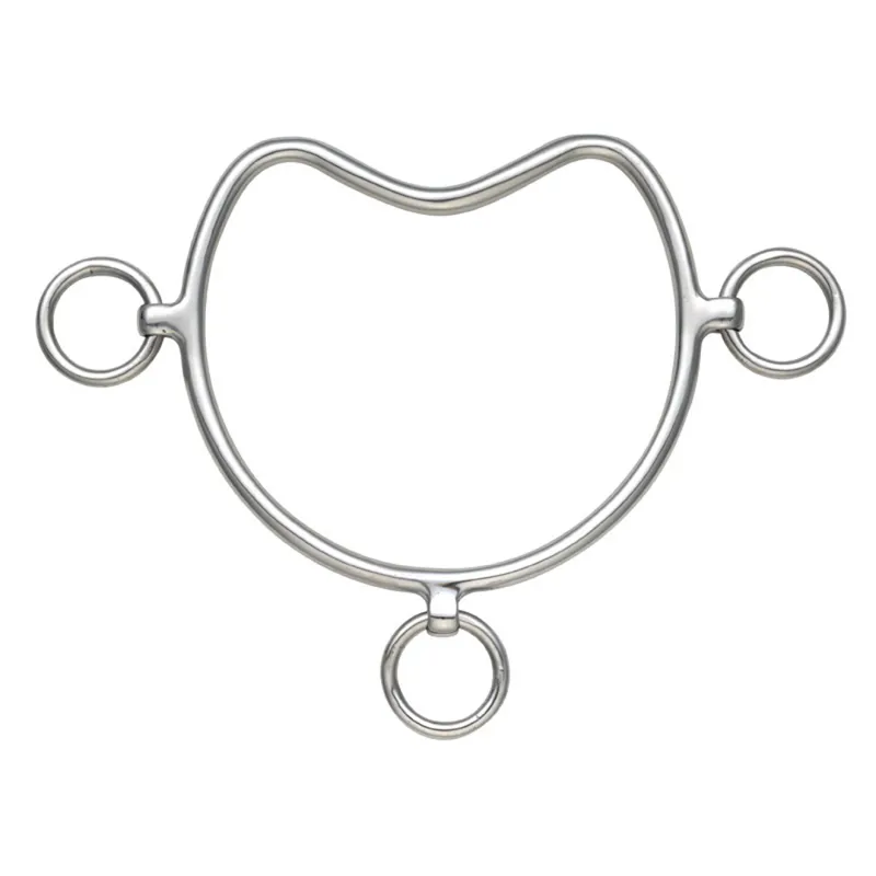 Buckley Chifney Anti-Rearing Bit