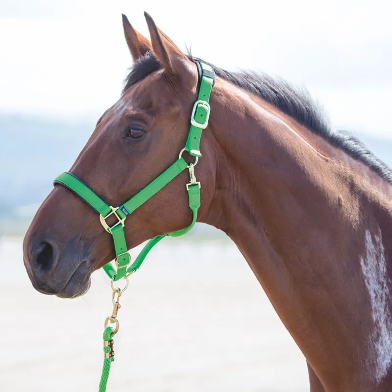 Shires Topaz Nylon Padded Headcollar Hot Green