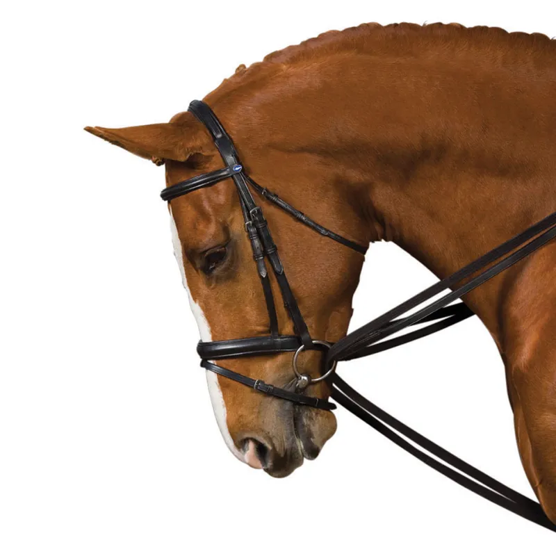 Kincade Web Draw Reins Black