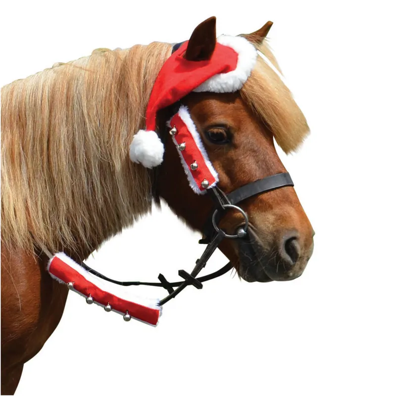 Hy Christmas Santa Horse Hat-1