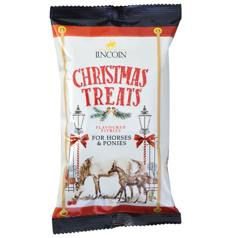 Lincoln Christmas Horse Bix