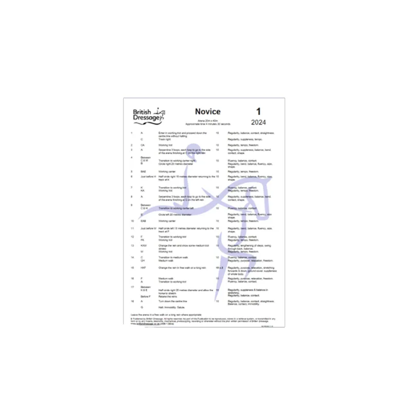 British Dressage Test Plan Novice 03