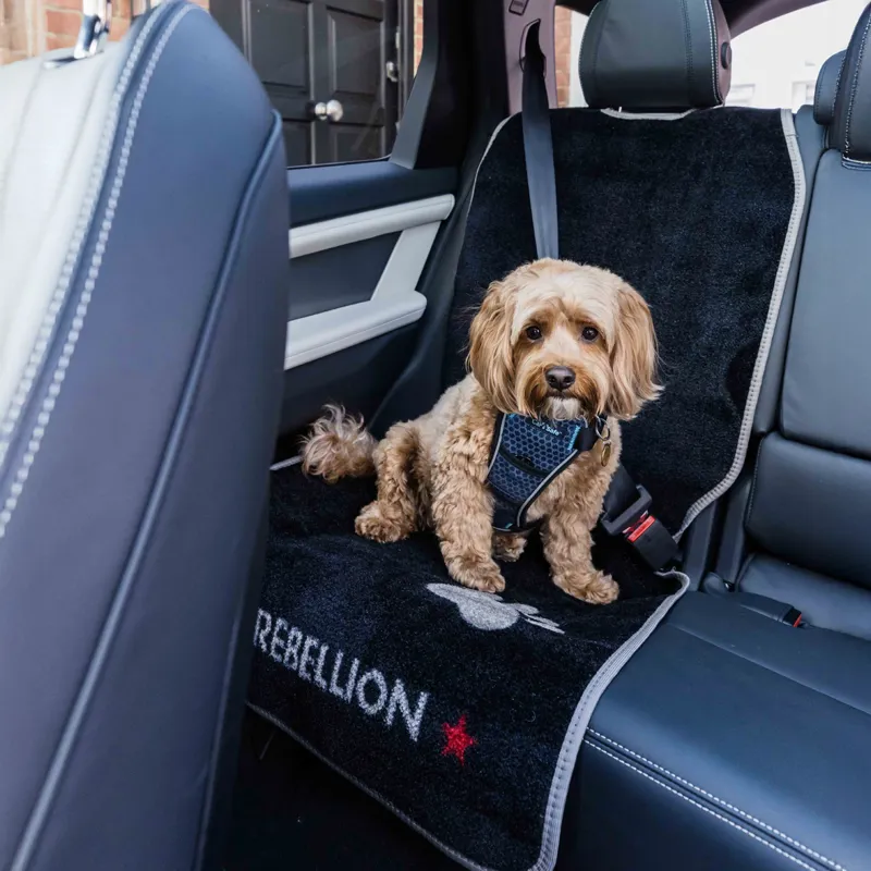 Pet Rebellion Car Seat Carpet
