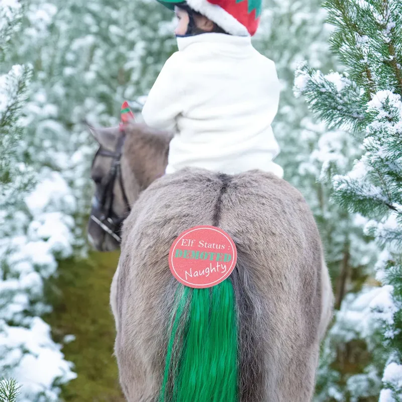 Equetech Cheeky Elf Tail Tassel-1