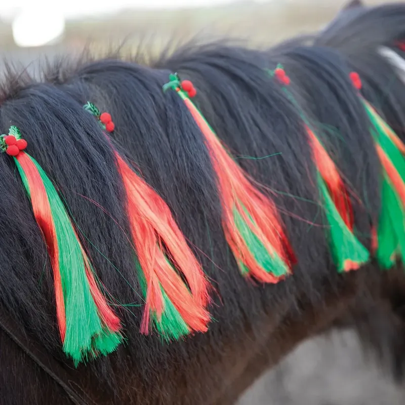 Equetech Christmas Holly Mane Tassels 5 Pack-1