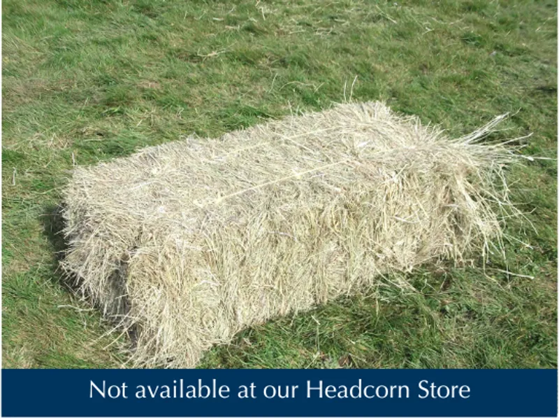 Hay