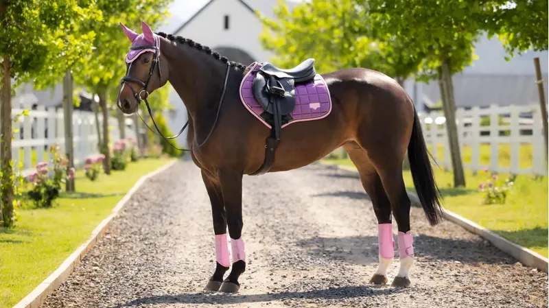 LeMieux Loire Classic Close Contact Square Mallow-1