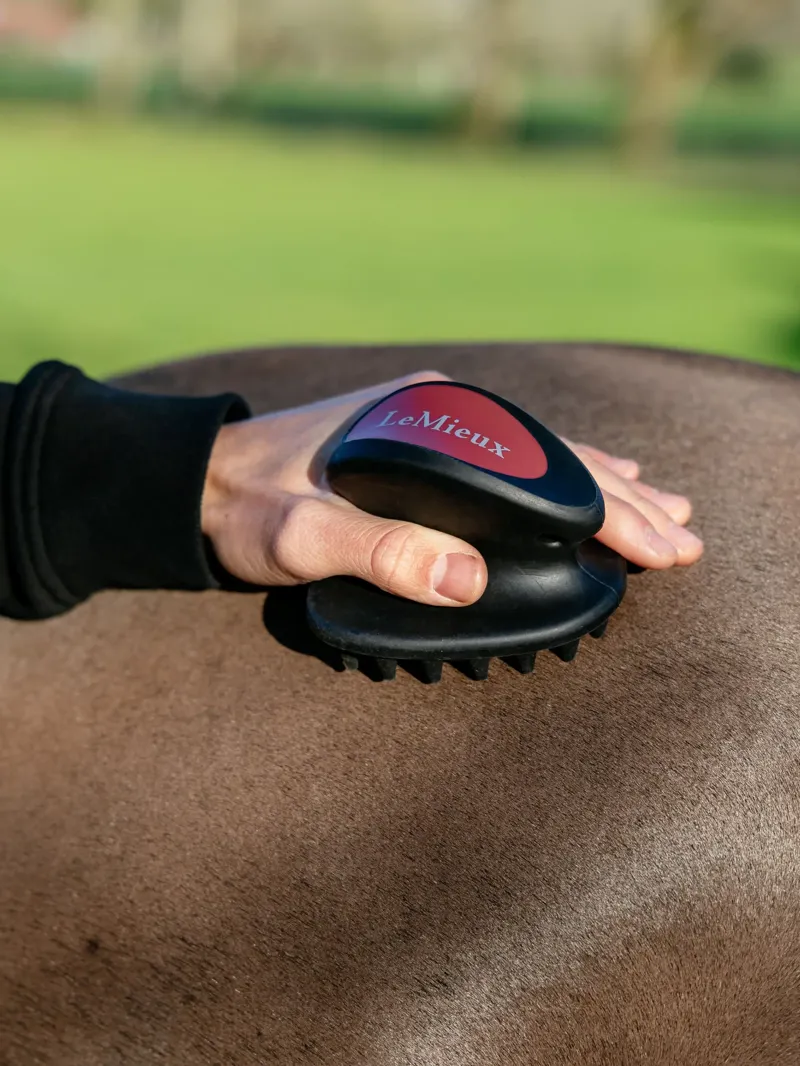 LeMieux Massage Brush Black-1