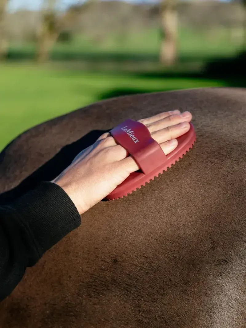 LeMieux Rubber Curry Comb Red-1