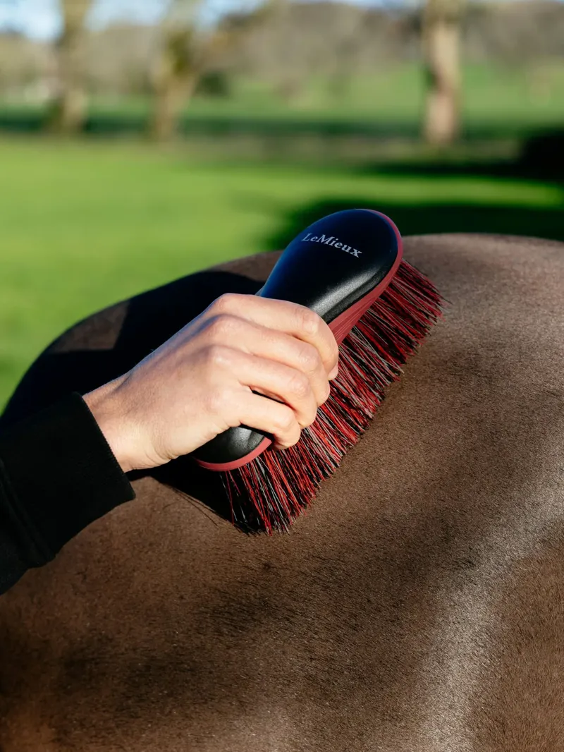 LeMieux Flicky Brush Black-1