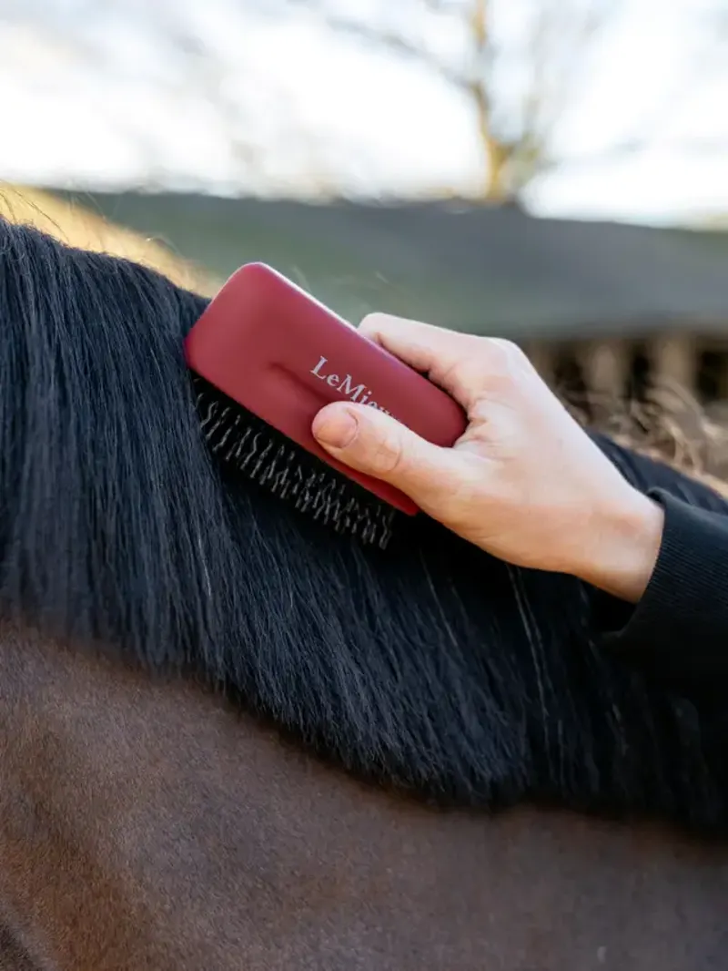 LeMieux Mane Tamer Red-1