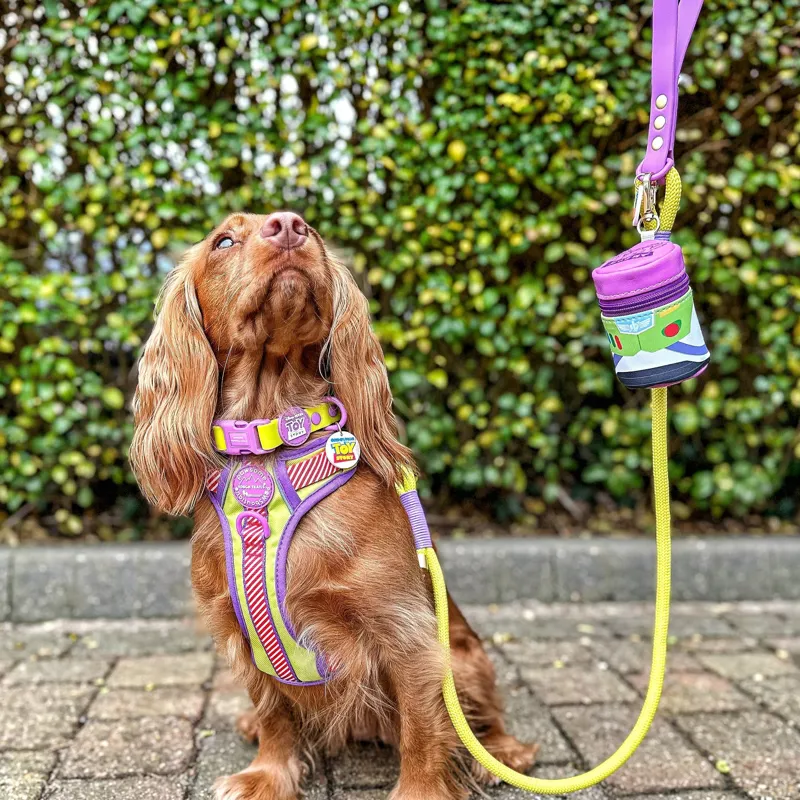 Disney Buzz Treat Pouch-4