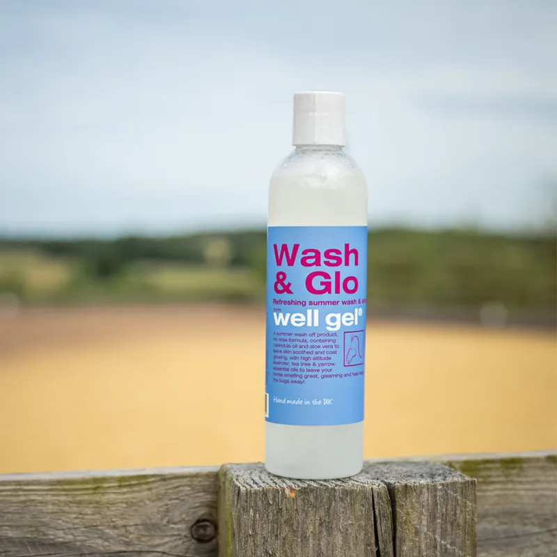 Well Gel Wash and Glow 300g