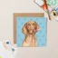 Lil Wabbit Dog Card - Vita